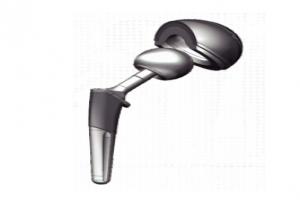 Biological hip joint