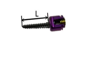 Polyaxial pedicle nail type B
