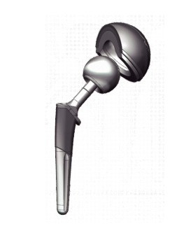 Biological hip joint